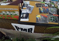 Belajar dari Adiwiyata