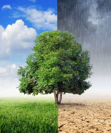 Pergantian Musim di Asrama Putra: Lonjakan Kasus Flu dan Demam di Bulan Januari 2024